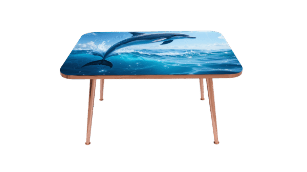 Dolphin - Image 2