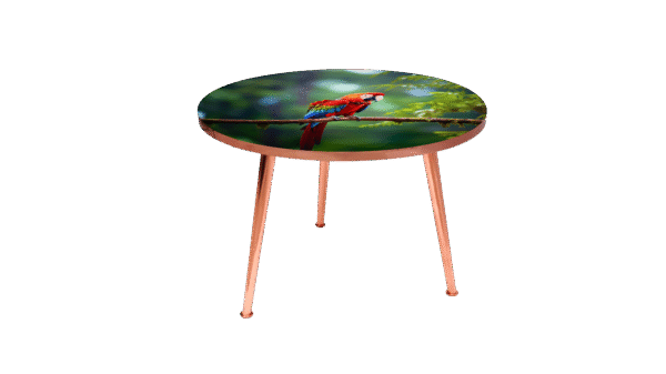 Tropical Parrot - Image 3