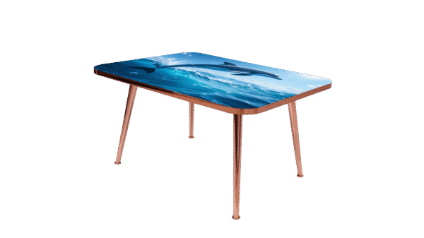 Dolphin - Image 4