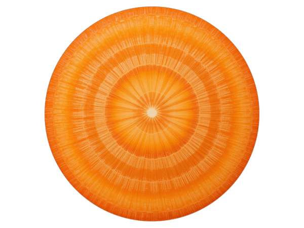 Carrot