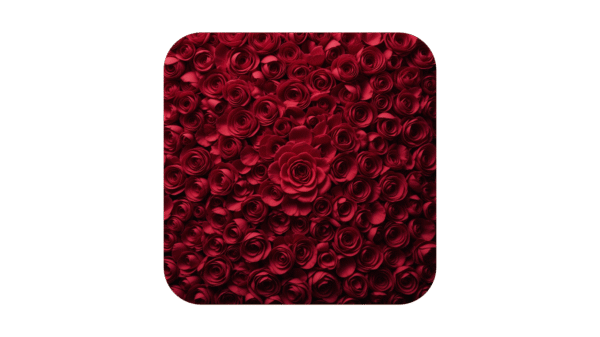 Red Roses